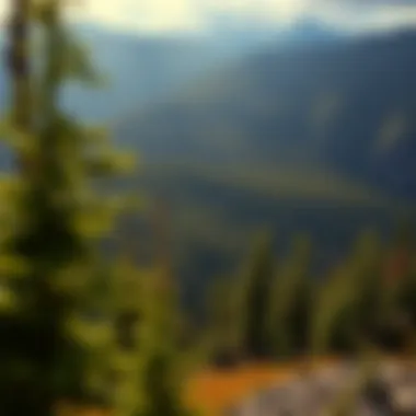Magnificent Exploring Alaskan Parks: A Detailed Overview