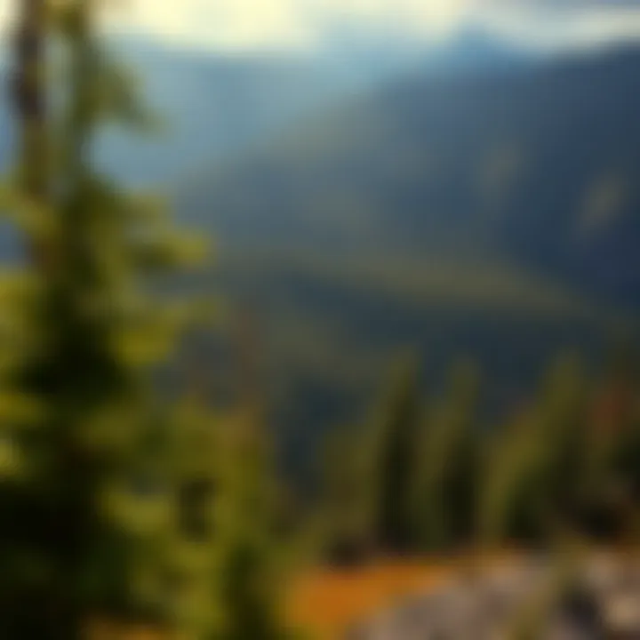 Magnificent Exploring Alaskan Parks: A Detailed Overview