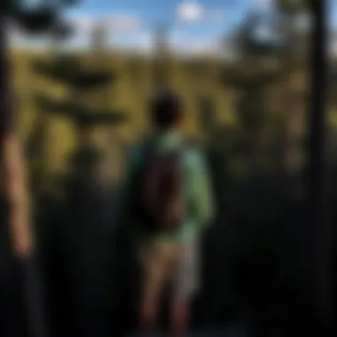 Magnificent Exploring Black Hills Tint: Significance in Forestry and Conservation Magnificent Exploring Black Hills Tint: Significance in Forestry and Conservation