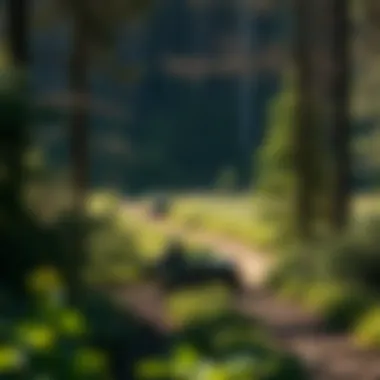 Magnificent Exploring SXS Trails in Ohio: An In-Depth Analysis