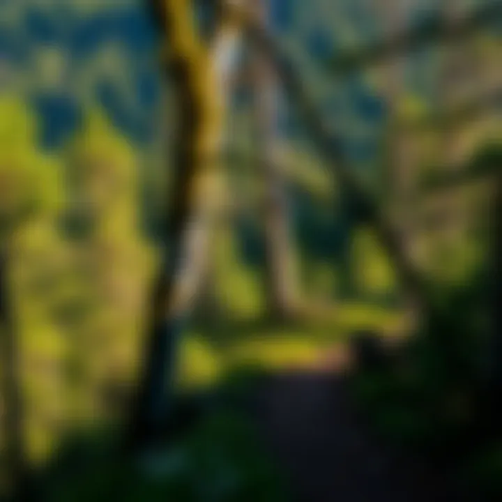 Magnificent Exploring the Green Mountain Hiking Trail: A Comprehensive Guide Magnificent Exploring the Green Mountain Hiking Trail: A Comprehensive Guide