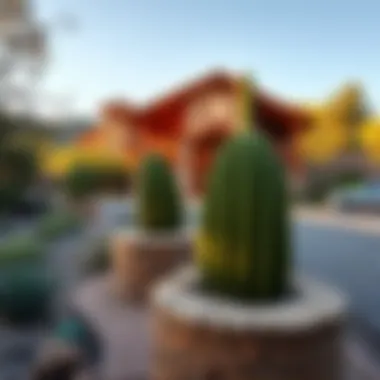 Magnificent Exploring the Village of Oak Creek, Arizona Magnificent Exploring the Village of Oak Creek, Arizona