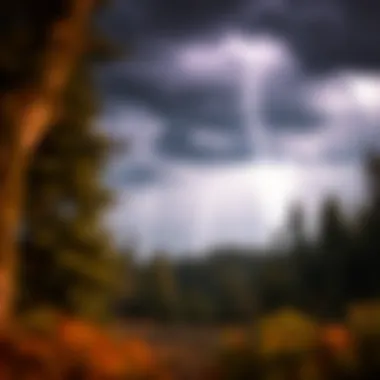 Magnificent Strategies for Avoiding Lightning Strikes