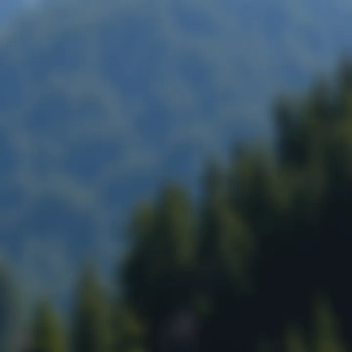 Magnificent The Complexities of Land Property Management in Forestry Magnificent The Complexities of Land Property Management in Forestry