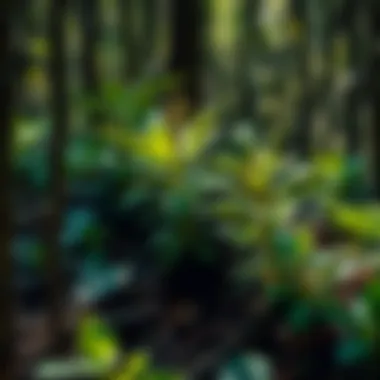 Magnificent The State of Endangered Plant Species: An In-Depth Examination