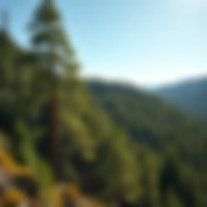 Magnificent Understanding the Land Buy Process: A Comprehensive Guide