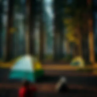 Magnificent Washington State Camp Reservations: A Comprehensive Guide