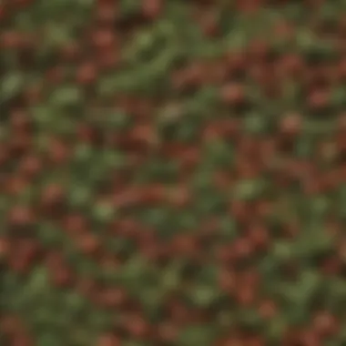 Detailed Characteristics of Wintergreen Seeds Close-up view of wintergreen seeds displaying unique textures and colors