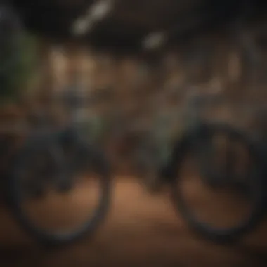 A diverse range of bicycles displayed inside the shop, highlighting product variety