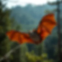 An In-Depth Exploration of Bat Species Introduction