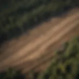 Aerial view of a cleared land area showing tree stumps and bare soil