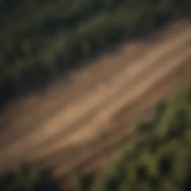 Aerial view of a cleared land area showing tree stumps and bare soil