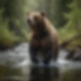 A majestic brown bear fishing in a river