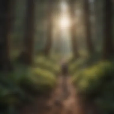 Forest Path Adventure Hiker exploring a tranquil forest path