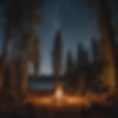 Under the Stars: Campfire Moments at Lake Tahoe Campfire gathering under a starlit sky at Lake Tahoe