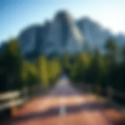 Best Way to Visit Sequoia National Park Introduction