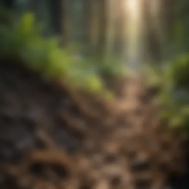 Beneficial Microorganisms Promoting Soil Health Visual representation of beneficial microorganisms enhancing soil health.