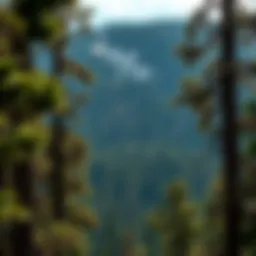 Black Hills Visitor Guide Introduction