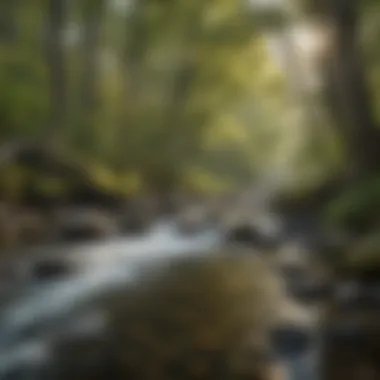Wildlife thriving in the protected areas of Black Rock Portage
