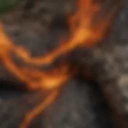 Close-up of fire-resistant fabric used in brush fire pants