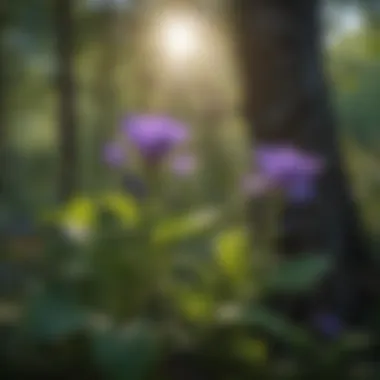 Butterfly Pea Plant in Its Natural Habitat A serene garden scene featuring butterfly pea plants thriving in a natural setting