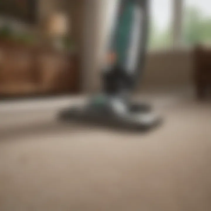 Before and after comparison of carpet cleaning results