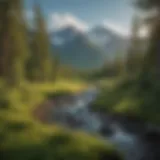 A breathtaking view of the Chugach National Forest showcasing its lush greenery and towering mountains.