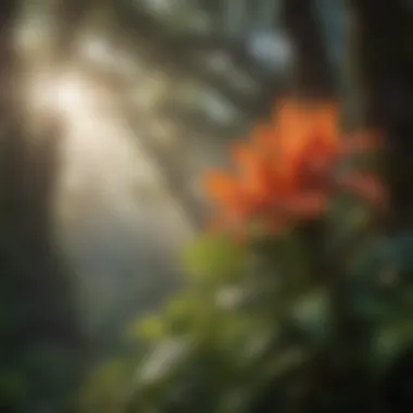 Native Hawaiian Flora: A Vibrant Display A vibrant display of native Hawaiian flora