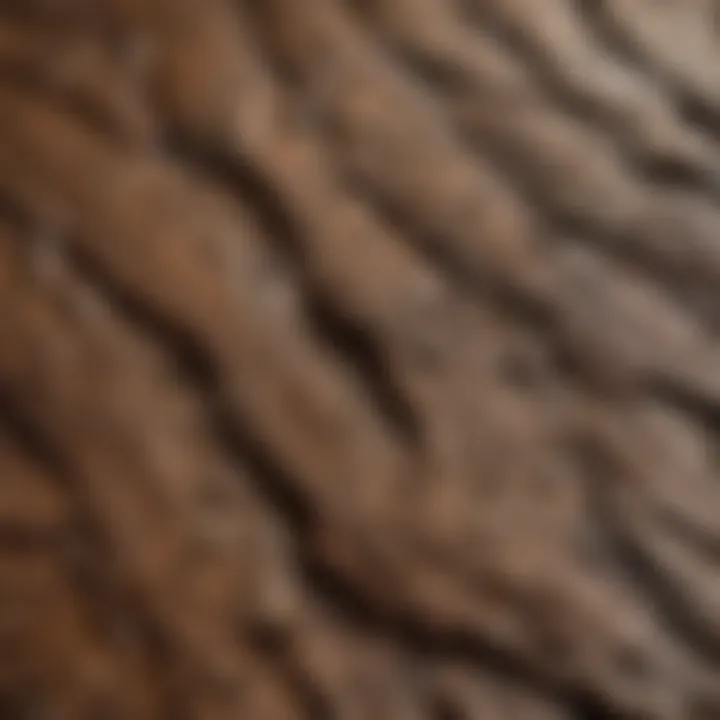 A close-up view of composite wood filler texture