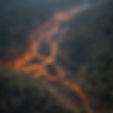 Aftermath of Wildfire in Forest Ecosystem Aerial view of a forest affected by a wildfire, showcasing the aftermath of the blaze.