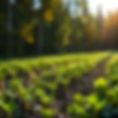 Sustainable agriculture practices incorporating copper