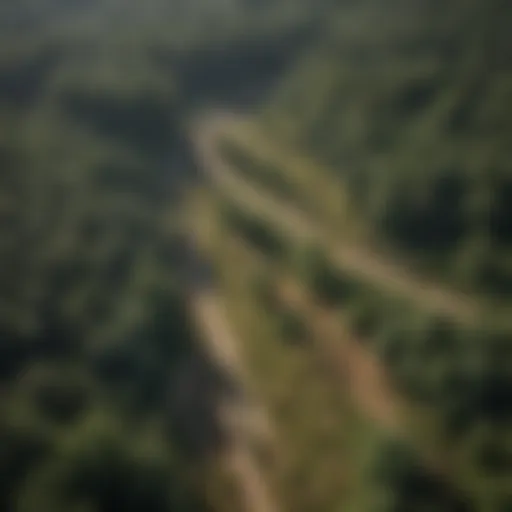 Aerial view of three acres of land before clearing