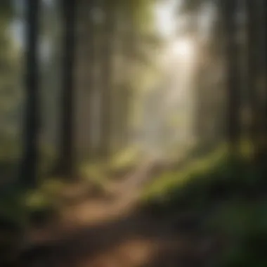 Impact of Cyazofamid on Forest Ecosystems Impact of cyazofamid on forest ecosystems