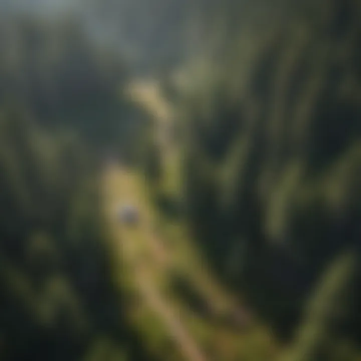 Aerial view of forest health assessment using drone technology