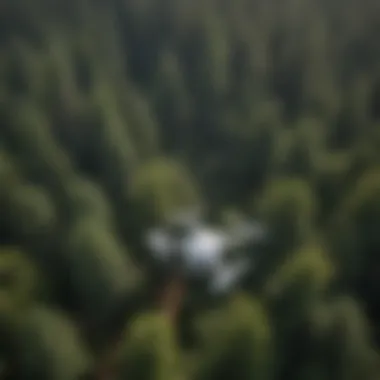 Drone Surveying Forest Canopy Drone surveying a dense forest canopy