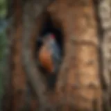 A close-up view of a tree trunk showing woodpecker holes