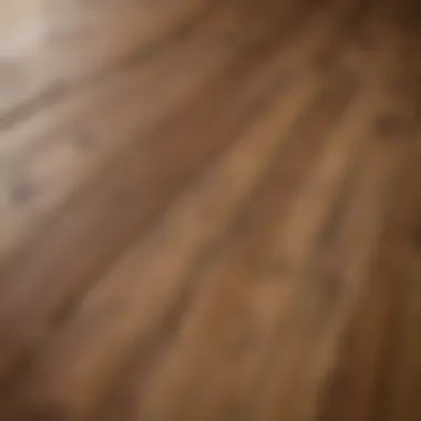 Layers of Engineered Wood Flooring Close-up of engineered wood flooring layers showcasing construction details