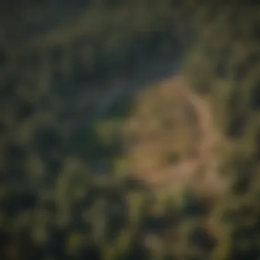 Aerial view of available land plots in Pine Valley