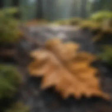 Surfactant Interaction with Leaf Surfaces Close-up of leaf surfaces demonstrating surfactant interactions