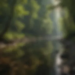 A serene river scene in Cherokee, NC with lush greenery