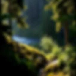 Exploring Alaskan Parks: A Detailed Overview Introduction