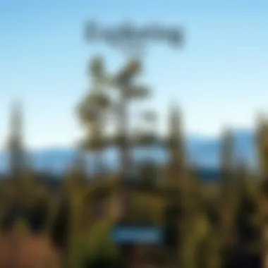 Exploring Alaskan Parks: A Detailed Overview Summary