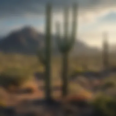 Unique Fauna of Saguaro National Park Diverse wildlife in Saguaro National Park representing Arizona's unique fauna
