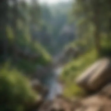 Lush greenery and unique rock formations in Custer State Park