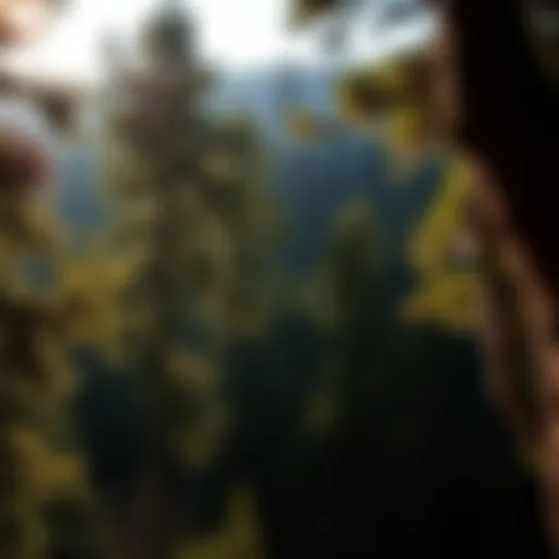 Exploring Central Oregon: A Journey Through Its Unique Landscapes and Ecosystems Introduction
