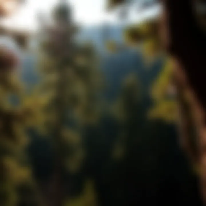 Exploring Central Oregon: A Journey Through Its Unique Landscapes and Ecosystems Introduction