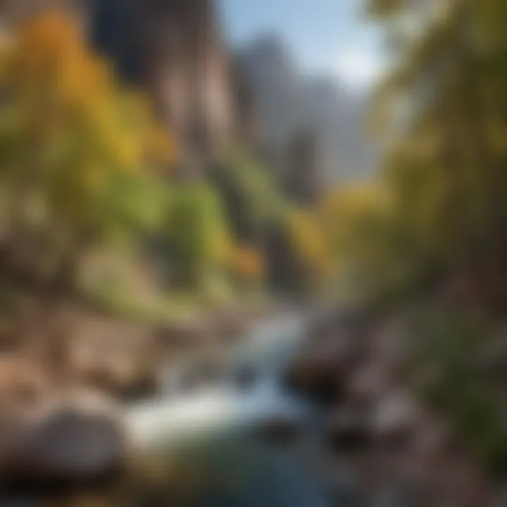 Scenic view of Clear Creek Canyon showcasing vibrant foliage and rugged rock formations