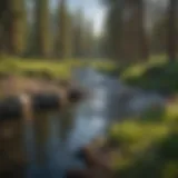 Scenic view of the Deschutes River winding through the park