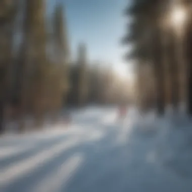 Skiers Embracing Nature at Eldora Skiers enjoying the slopes while surrounded by forested areas