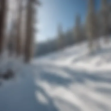 Pristine Terrain of Eldora Ski Area Snow-covered landscape of Eldora Ski Area showcasing its pristine terrain